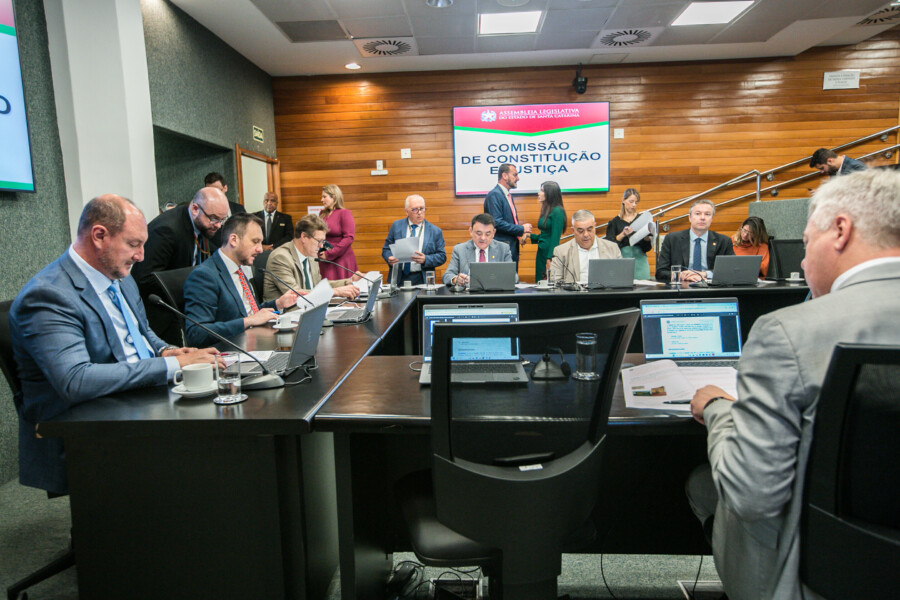 Deputado Mauro de Nadal (MDB) 	 - Deputado Pepê Collaço (PP) - Deputado Volnei Weber (MDB)
 - Deputado Mauricio Peixer (PL)	 - Deputado Sargento Lima (PL)  - Deputado Napoleão Bernardes (PSD) 	
	 - Deputado Fabiano da Luz (PT)