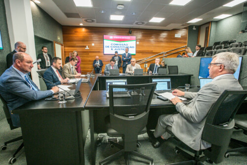 Deputado Mauro de Nadal (MDB) 	 - Deputado Pepê Collaço (PP) - Deputado Volnei Weber (MDB)
 - Deputado Mauricio Peixer (PL)	 - Deputado Sargento Lima (PL)  - Deputado Napoleão Bernardes (PSD) 	
	 - Deputado Fabiano da Luz (PT)