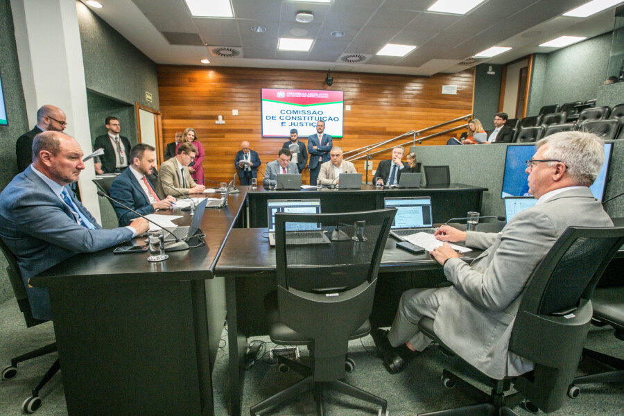 Deputado Mauro de Nadal (MDB) 	 - Deputado Pepê Collaço (PP) - Deputado Volnei Weber (MDB)
 - Deputado Mauricio Peixer (PL)	 - Deputado Sargento Lima (PL)  - Deputado Napoleão Bernardes (PSD) 	
	 - Deputado Fabiano da Luz (PT)