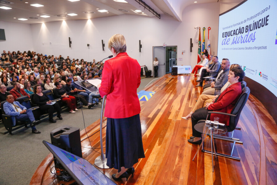 - Deputada Luciane Carminatti (PT)