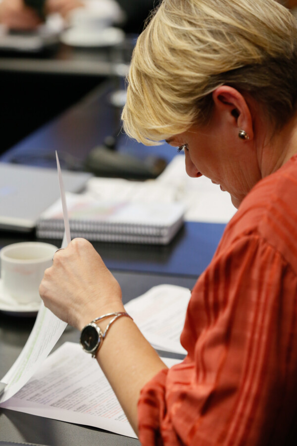 - Deputada Luciane Carminatti (PT)