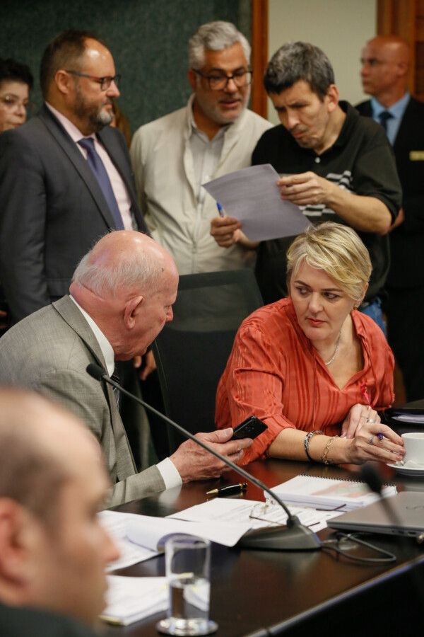 - Deputada Luciane Carminatti (PT)