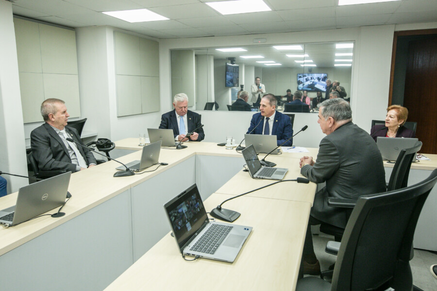 - Deputado Maurício Eskudlark (PL) 
 - Deputado Nilso Berlanda (PL)
- Deputado Altair Silva (PP) 	 - Deputado Mário Motta (PSD)