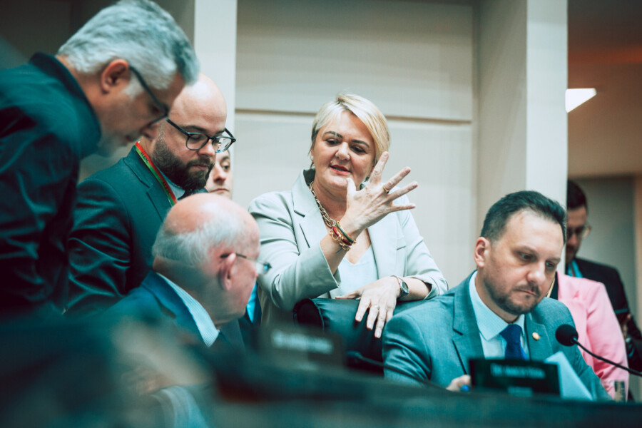 - Deputada Luciane Carminatti (PT) 		
- Deputado Pepê Collaço (PP)