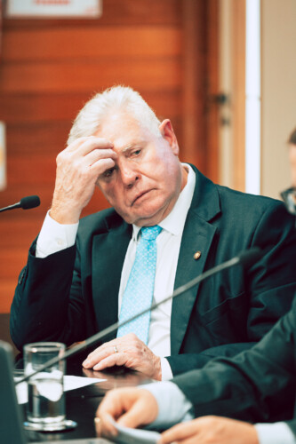 - Deputado Nilso Berlanda (PL)
