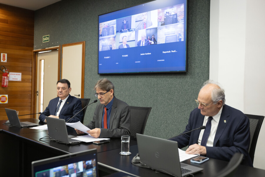 - Deputado Mauricio Peixer (PL)	 - Deputado Neodi Saretta (PT) 	

 - Deputado Dr. Vicente Caropreso (PSDB)
