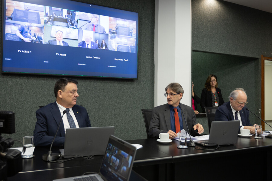 - Deputado Mauricio Peixer (PL)	 - Deputado Neodi Saretta (PT) 	

 - Deputado Dr. Vicente Caropreso (PSDB)