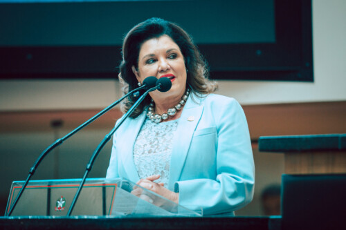 - Marilisa Boehm -  Vice-Governadora de Santa Catarina