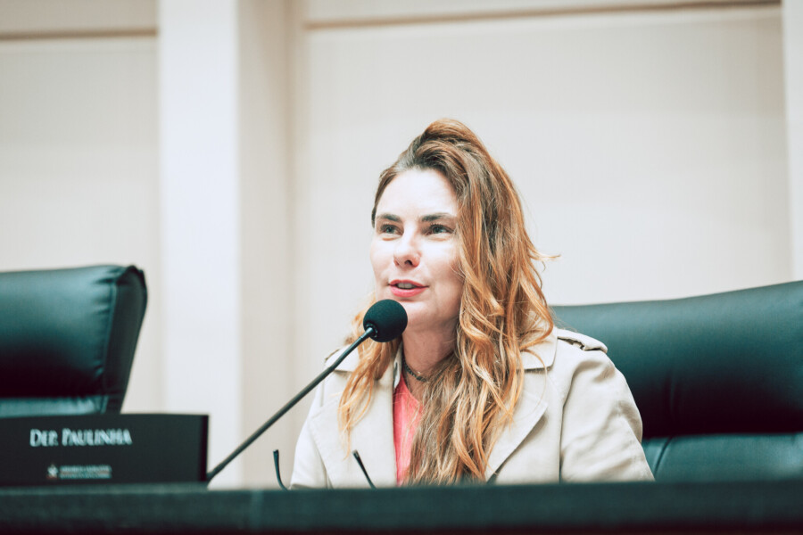 - Deputada Paulinha (Podemos)