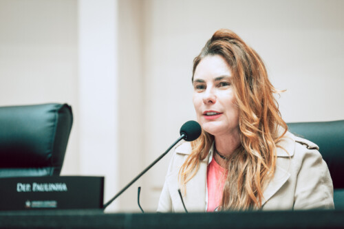 - Deputada Paulinha (Podemos)