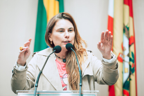 - Deputada Paulinha (Podemos)