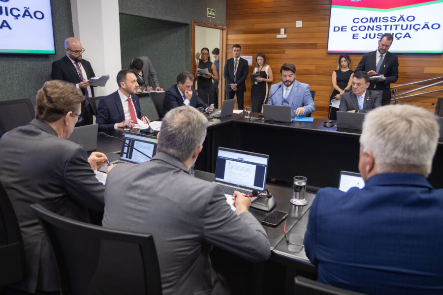 - Deputado Pepê Collaço (PP) - Deputado Rodrigo Minotto (PDT) 
 
  - Deputado Alex Brasil (PL)- Deputado Mauricio Peixer (PL)