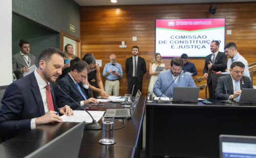 - Deputado Pepê Collaço (PP) - Deputado Rodrigo Minotto (PDT) 

 - Deputado Alex Brasil (PL)
 - Deputado Mauricio Peixer (PL)
