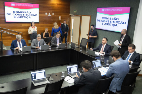 - Deputado Fabiano da Luz (PT- Deputado Pepê Collaço (PP) - Deputado Rodrigo Minotto (PDT) 

  - Deputado Alex Brasil (PL)- Deputado Mauricio Peixer (PL)