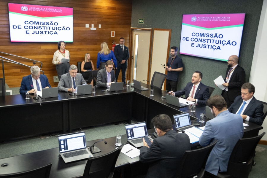 - Deputado Fabiano da Luz (PT- Deputado Pepê Collaço (PP) - Deputado Rodrigo Minotto (PDT) 

  - Deputado Alex Brasil (PL)- Deputado Mauricio Peixer (PL)
