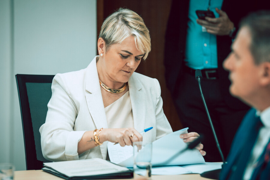 - Deputada Luciane Carminatti (PT)