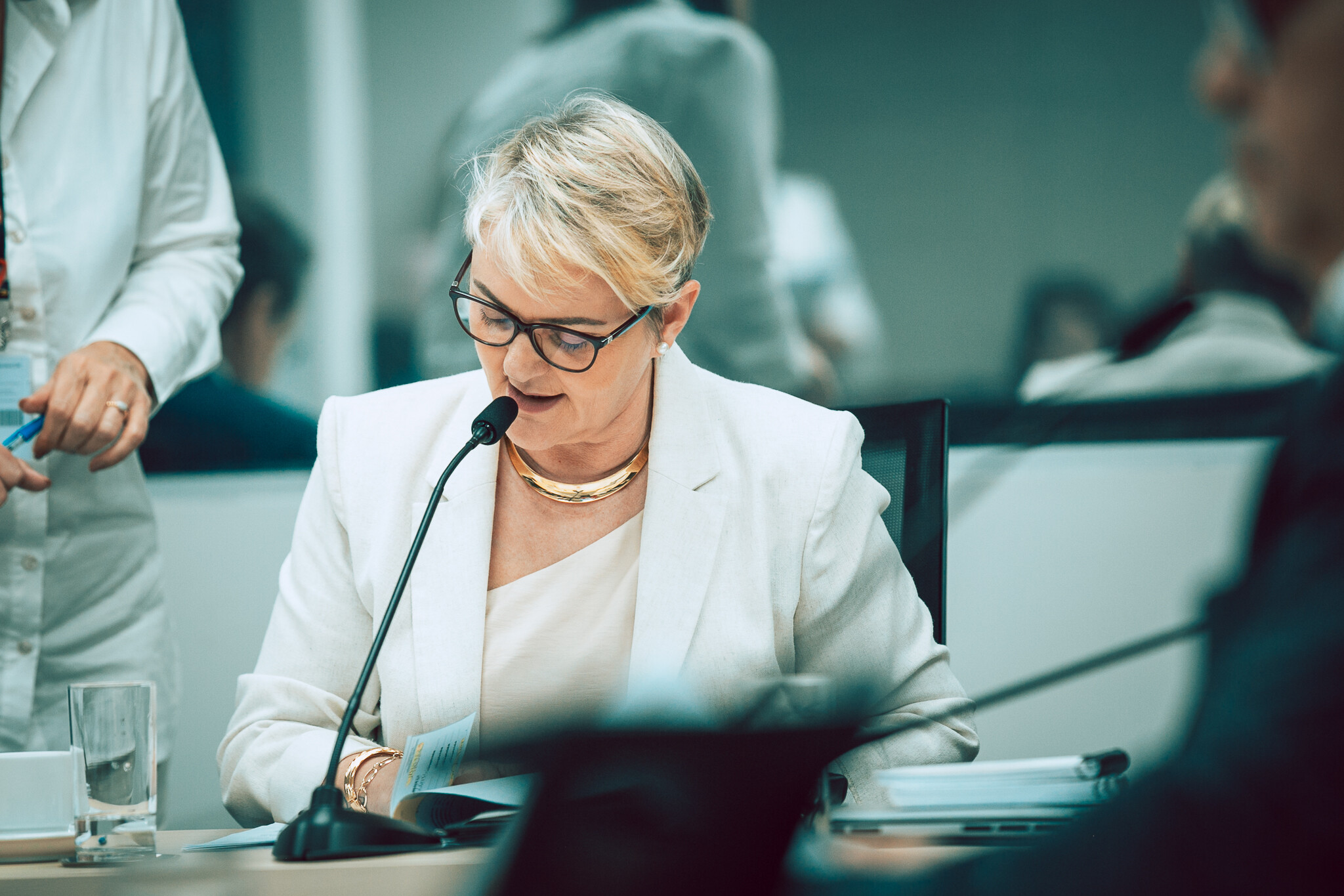 - Deputada Luciane Carminatti (PT)