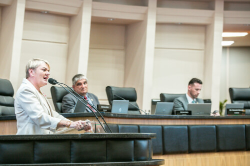 - Deputada Luciane Carminatti (PT)