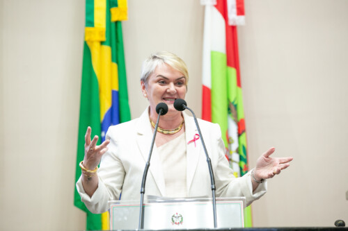 - Deputada Luciane Carminatti (PT)