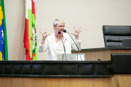 - Deputada Luciane Carminatti (PT)