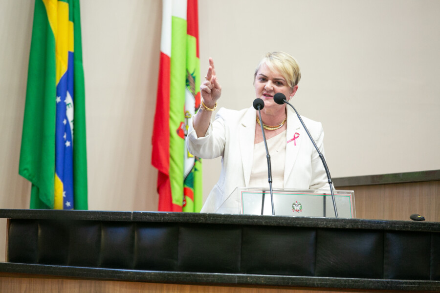 - Deputada Luciane Carminatti (PT)