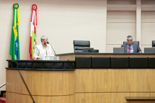 - Deputada Luciane Carminatti (PT)