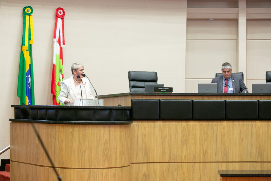 - Deputada Luciane Carminatti (PT)