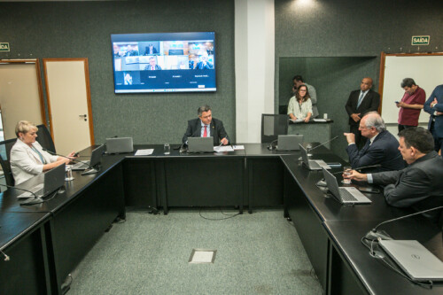 - Deputada Luciane Carminatti (PT) 	 - Deputado Ivan Naatz (PL)
	
 - Deputado Dr. Vicente Caropreso (PSDB) 
 - Deputado Mauricio Peixer (PL)