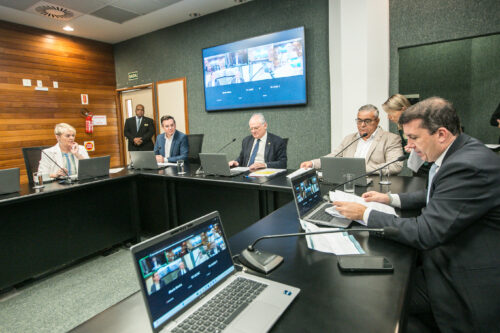 Comissão aprova regras para uso do Cordão de Girassol em Santa Catarina