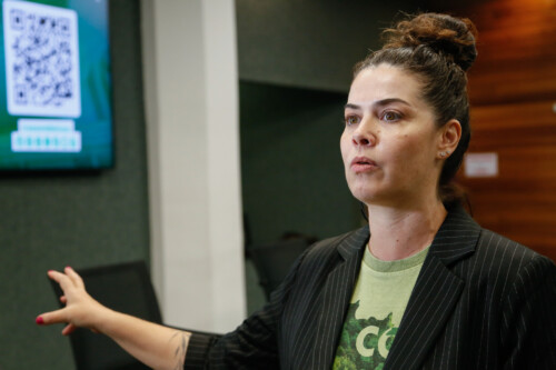 Representante do CREA:
Elizangela Bortoluzz