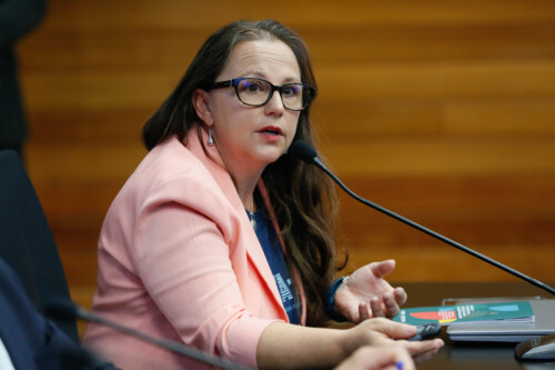 Representante do ICLEI:
Cibele Carneiro