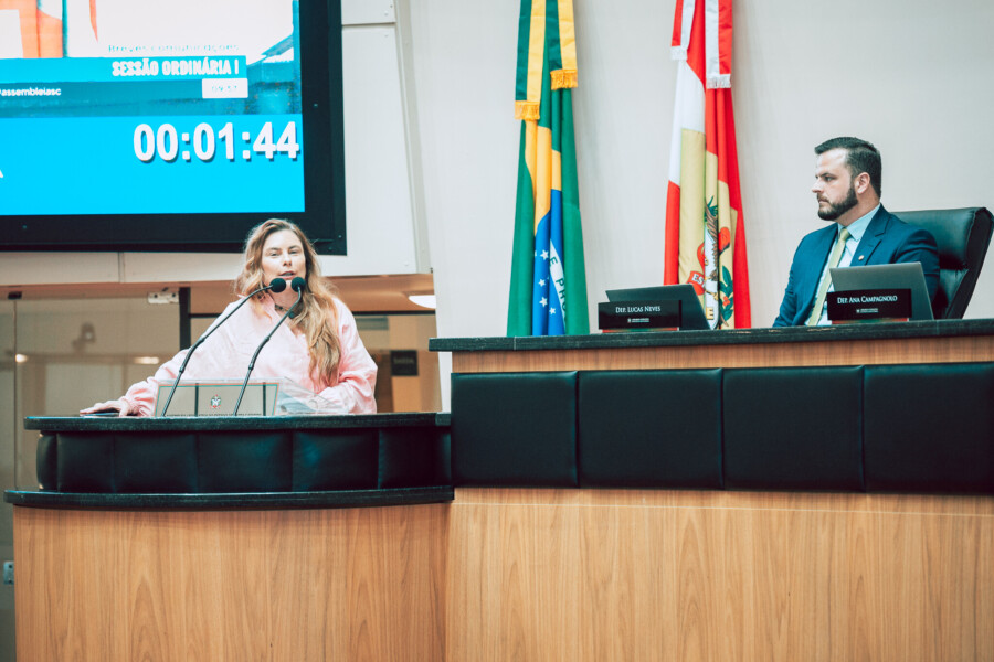 - Deputada Paulinha (Podemos)