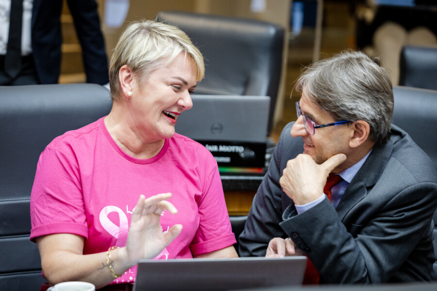 - Deputada Luciane Carminatti (PT)
- Deputado Neodi Saretta (PT)