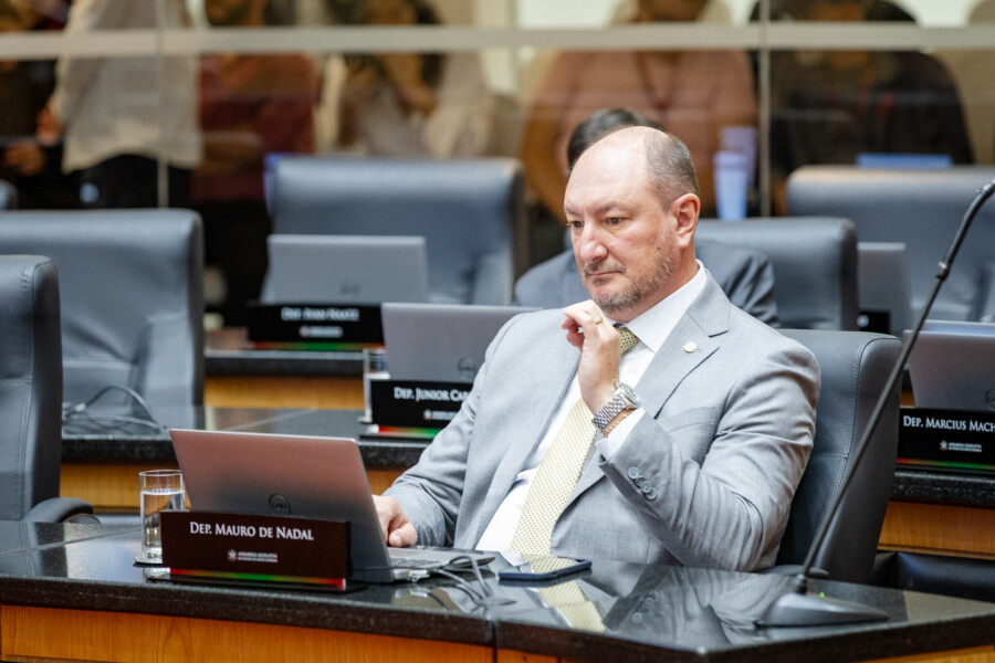 - Deputado Mauro de Nadal (MDB)