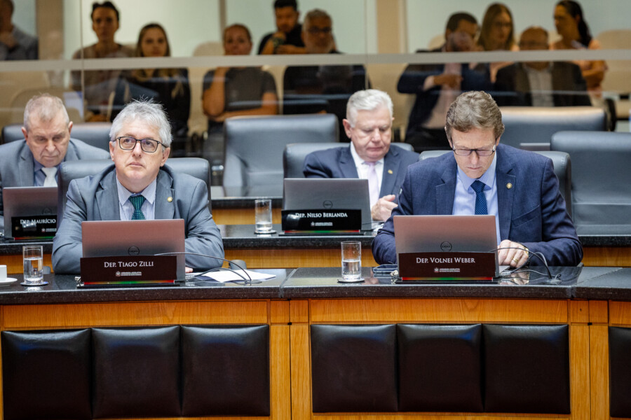 - Deputado Maurício Eskudlark (PL)
 - Deputado Tiago Zilli (MDB)
 - Deputado Nilso Berlanda (PL) - Deputado Volnei Weber (MDB)