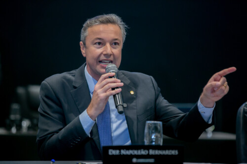 - Deputado Napoleão Bernardes (PSD)