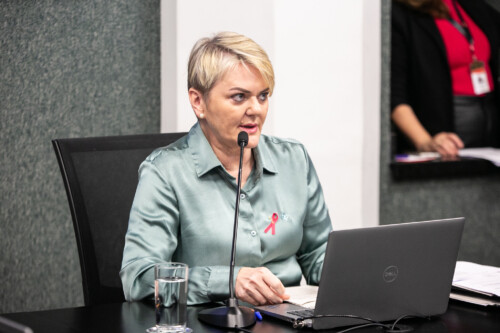 - Deputada Luciane Carminatti (PT)