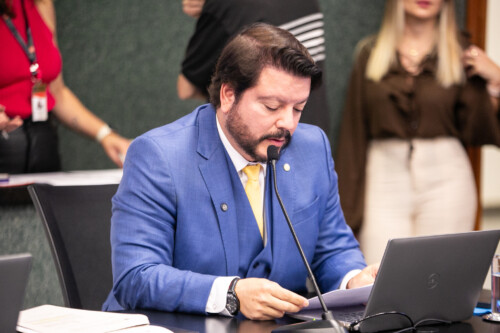 - Deputado Alex Brasil (PL)
