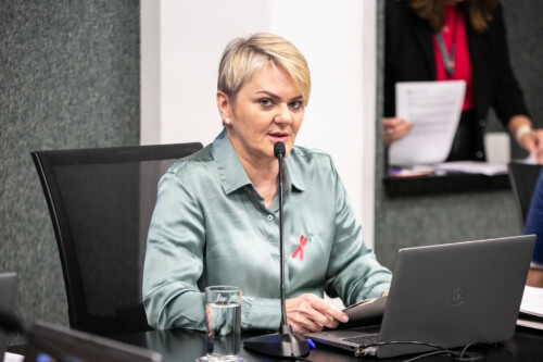 - Deputada Luciane Carminatti (PT)