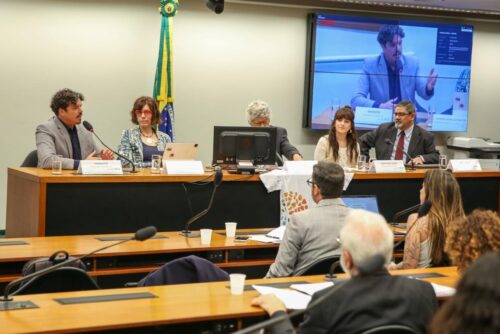 Marquito denuncia situação da Lagoa da Conceição em audiência sobre ecocídio na Câmara Federal