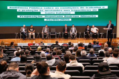 Minotto promove audiência pública sobre a proteção de gestantes em frigoríficos