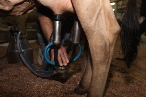 Alesc recebe projetos voltados à segurança pública, aviação regional e incentivo ao agro