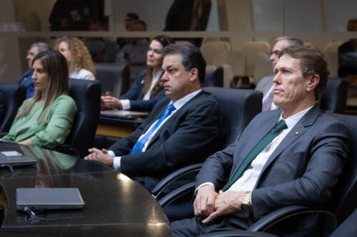 - Deputado Rodrigo Minotto (PDT) 
 - Deputado Volnei Weber (MDB)