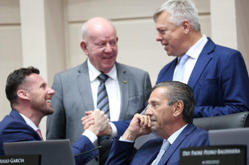- Deputado Fernando Krelling (MDB) 	 - Deputado Marcos Vieira (PSDB) - Deputado Fabiano da Luz (PT) 	
 - Deputado Julio Garcia (PSD)