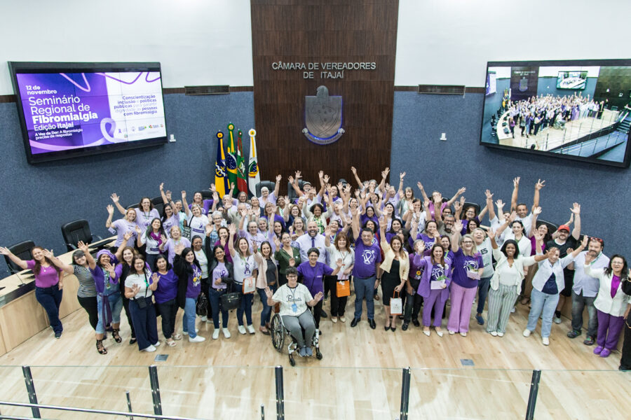Seminário Regional de Fibromialgia – edição Itajaí.