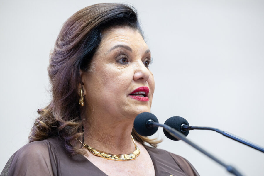 Marilisa Boehm, vice-governadora do Estado.