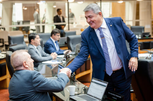 - Deputado Maurício Eskudlark (PL)
- Deputado Antídio Lunelli (MDB)