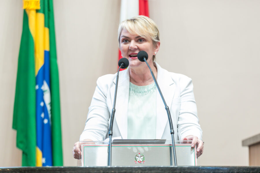 Aulas gratuitas ajudam professores a estudar para o seletivo de ACTs da rede estadual