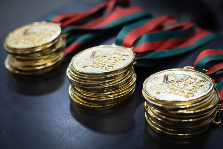 Medalha do prêmio SC Vale Ouro.