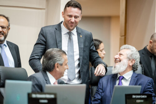 - Deputado Fernando Krelling (MDB) 	
 - Deputado Padre Pedro Baldissera (PT)